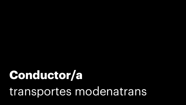 Conductor/a