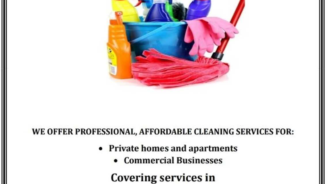 Lil D's cleaning services LLC. cover image