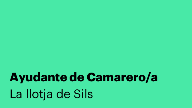 Ayudante de Camarero/a