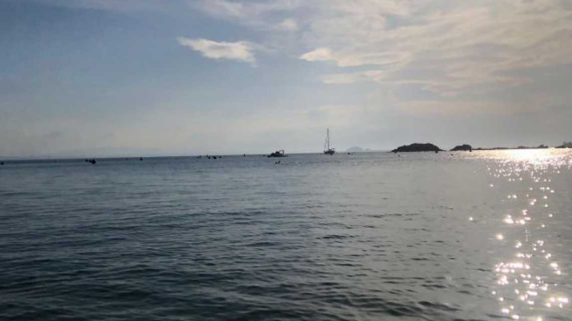 Restaurant de l’Almadrava cover image