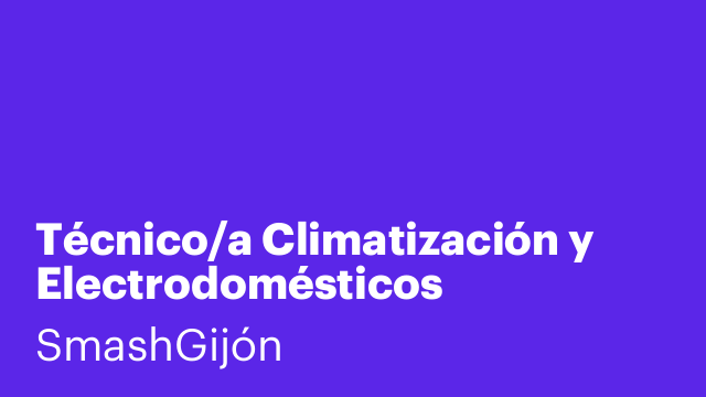 Técnico/a Climatización y Electrodomésticos