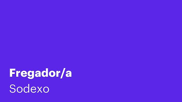 Fregador/a
