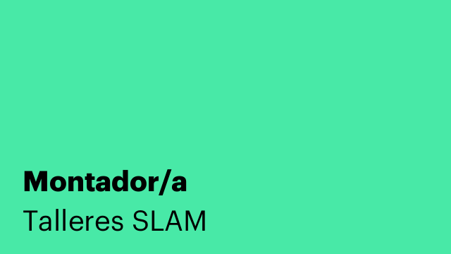 Montador/a