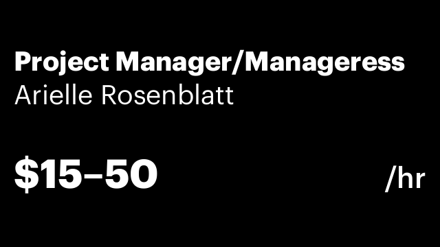 Project Manager/Manageress