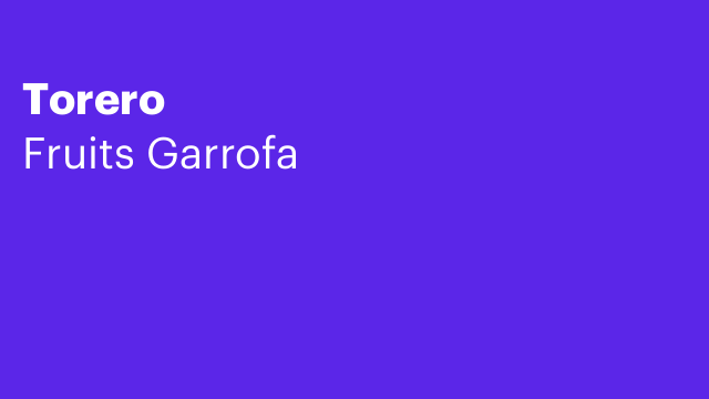 Torero