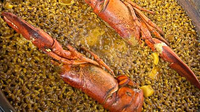 Cocinero/a y Ayudante/a de Cocina