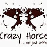 Crazy Horse C. avatar icon