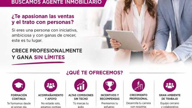 Asesor Inmobiliario