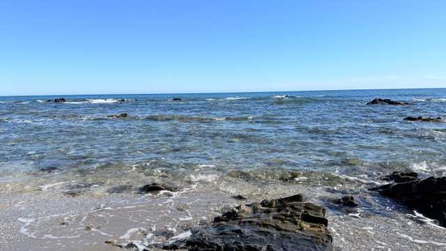 Ayudante de Peluquería