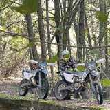 Roberto S. avatar icon