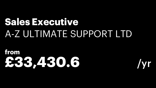 Sales Executive
