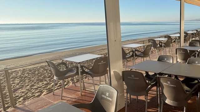 Camarero/a de Sala/Terraza