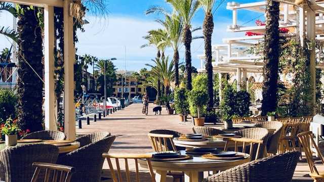 Camarero/a de Sala/Terraza