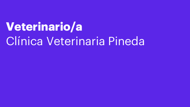 Veterinario/a