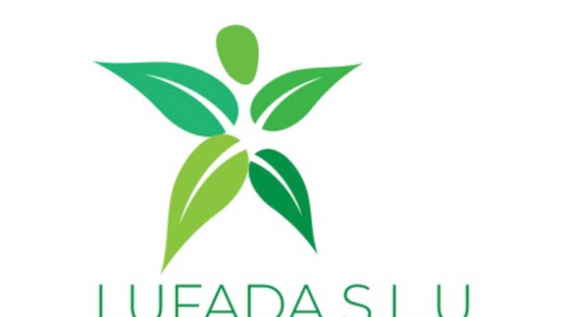 lufada s.l  cover image