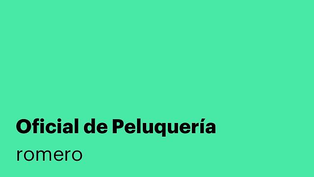 Oficial de Peluquería