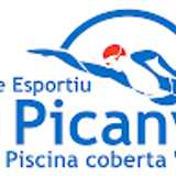 Centre esportiu picanya Picanya avatar icon