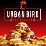 Jeremias C. avatar icon