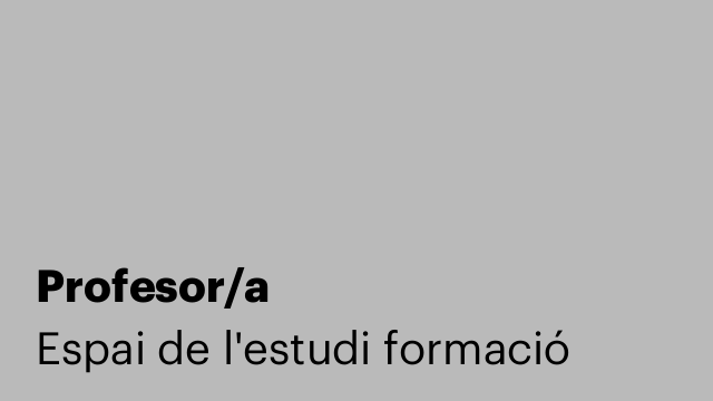 Profesor/a