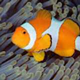 ARTURO E. avatar icon