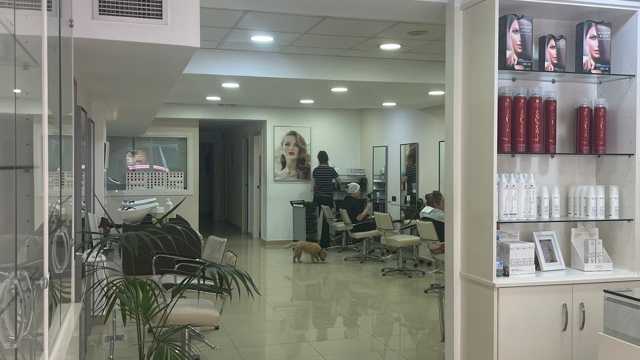 Oficial de Peluquería