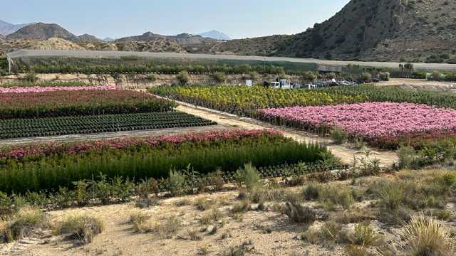 Encargado/a de vivero y jardinería