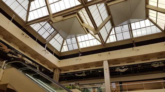 Pintor construcción