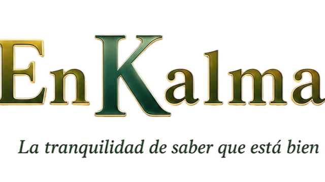 Asesor/a Comercial