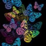 Eliannys R. avatar icon