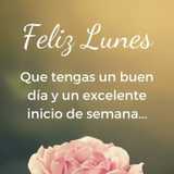 Alicia M. avatar icon