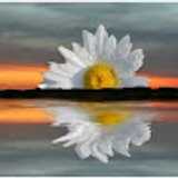 Nerea S. avatar icon