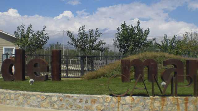 Jardinero - mantenimiento