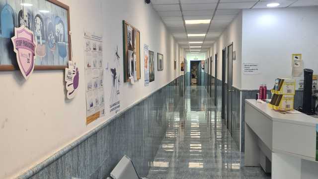Veterinario/a