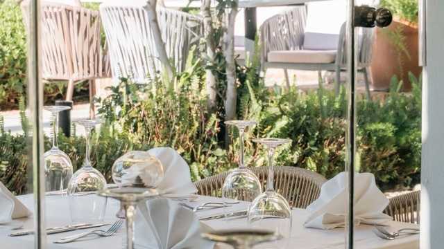 Professional bartender / professional waitress/waiter