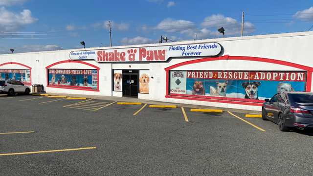 Sales Associate