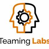 Teaming Labs logo