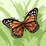 Elena R. avatar icon