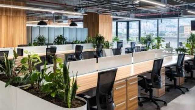 Auxiliares administrativos