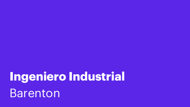 Ingeniero Industrial