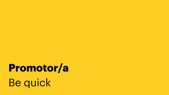 Promotor/a