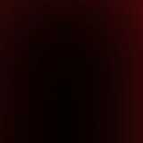 maria camil R. avatar icon