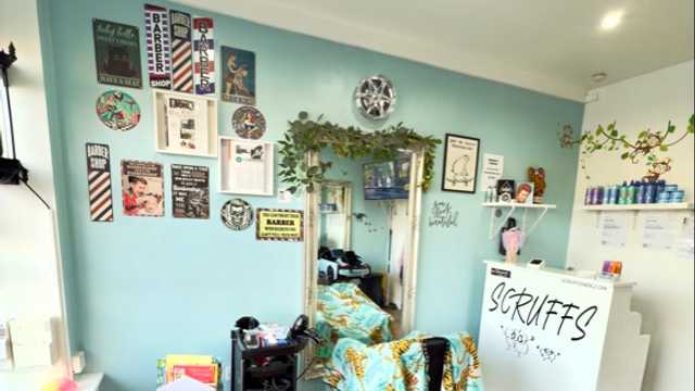 Barber / Hairdresser