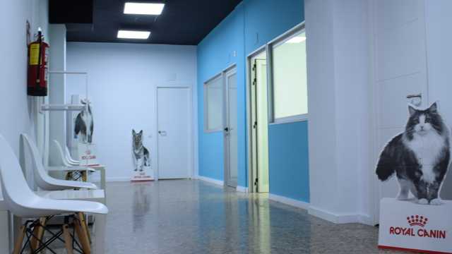 Ayudante Técnico Veterinario