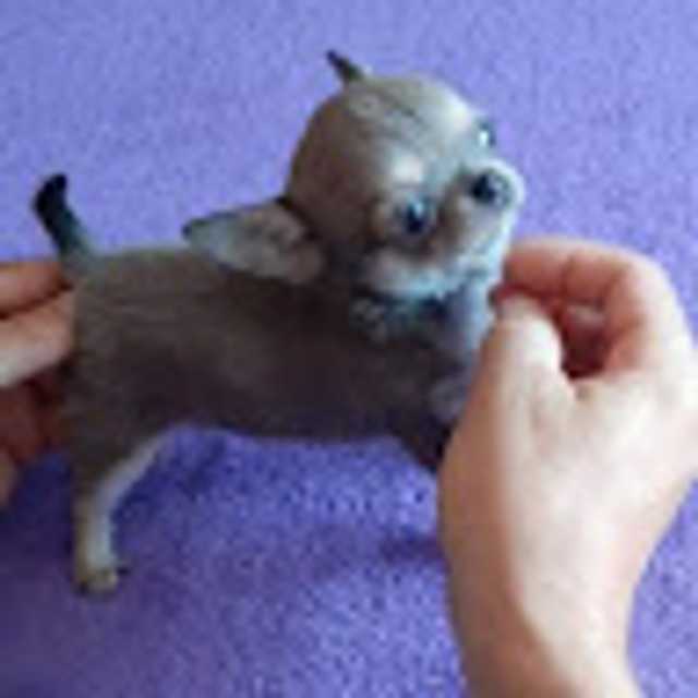 Candidate avatar