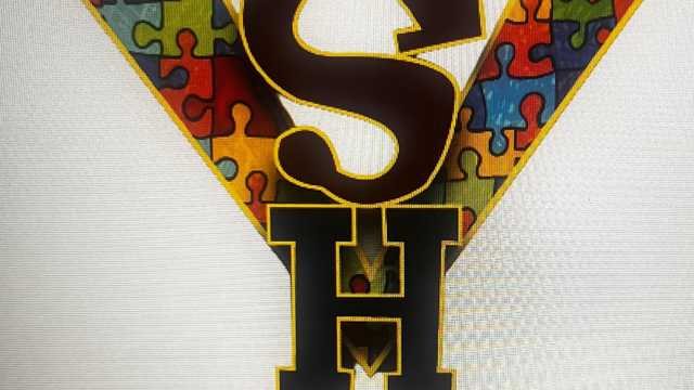 Behavior Technician / ABA Therapist