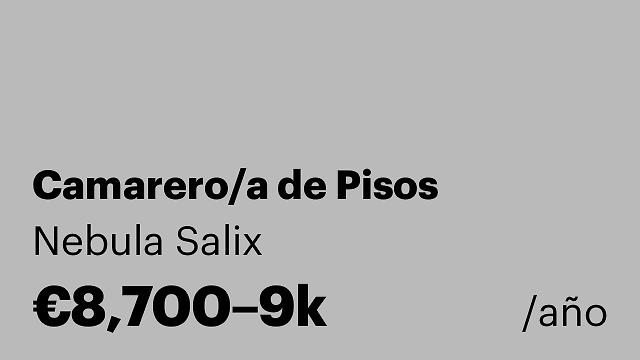 Camarero/a de Pisos