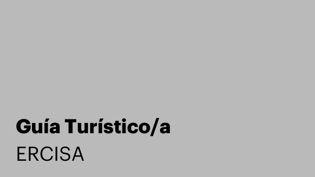 Guía Turístico/a
