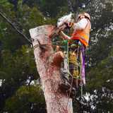 Podapins A. avatar icon