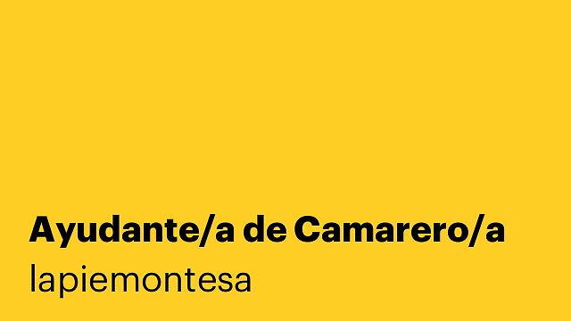 Ayudante/a de Camarero/a