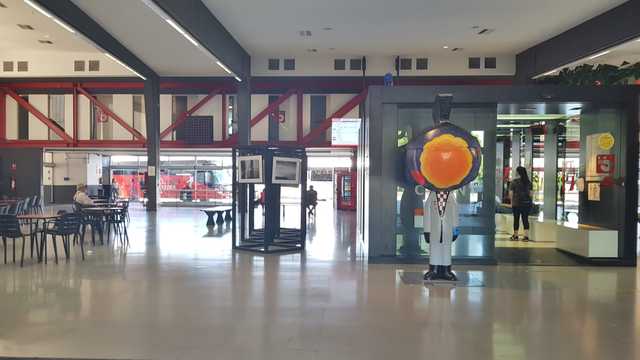 ENTRENADOR PERSONAL